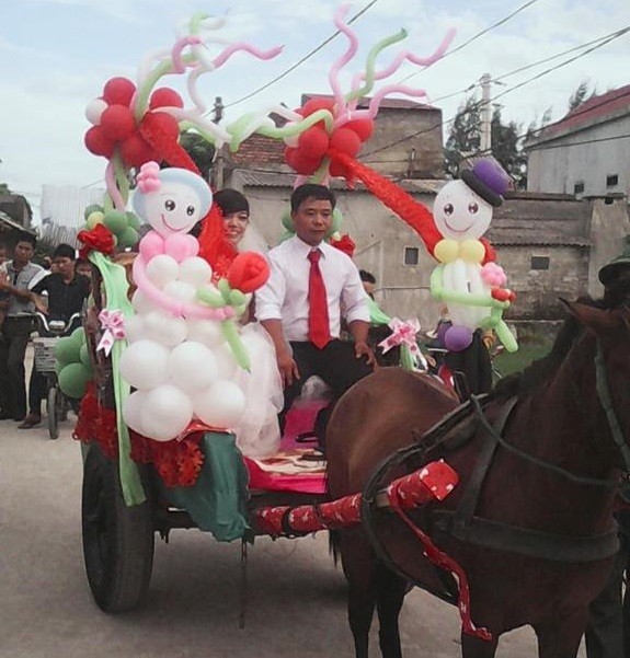 Rước dâu bình dị bằng xe ngựa xôn xao dân mạng ảnh 1