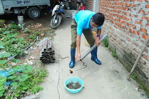 Bắt lươn giữa các cao ốc ở Hà Nội ảnh 2