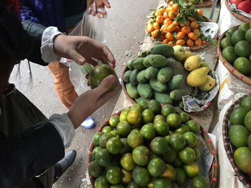 Quýt ngọt 15.000 đồng/kg tràn lòng đường Hà Nội ảnh 1