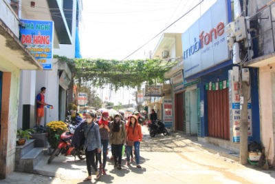 “Cháy” dịch vụ du xuân trên đảo Lý Sơn ảnh 1