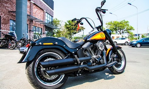 Xế độ Harley-Davidson Fat Boy độc nhất Việt Nam ảnh 1