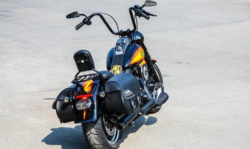 Xế độ Harley-Davidson Fat Boy độc nhất Việt Nam ảnh 2