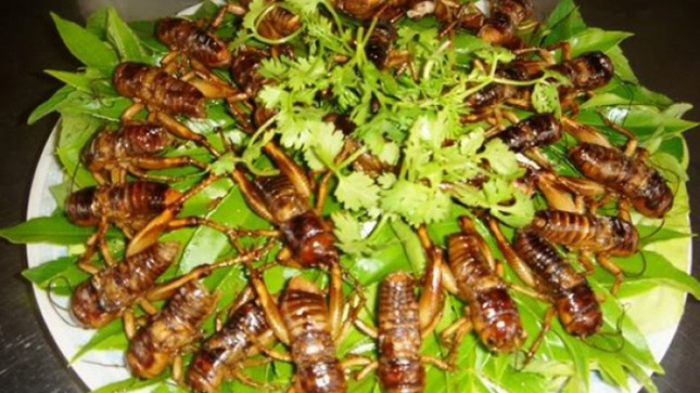 Những món ngon dân dã mê đắm lòng người ở Đồng Nai ảnh 5