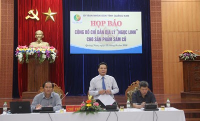 Công bố chỉ dẫn địa lý sâm Ngọc Linh ảnh 1