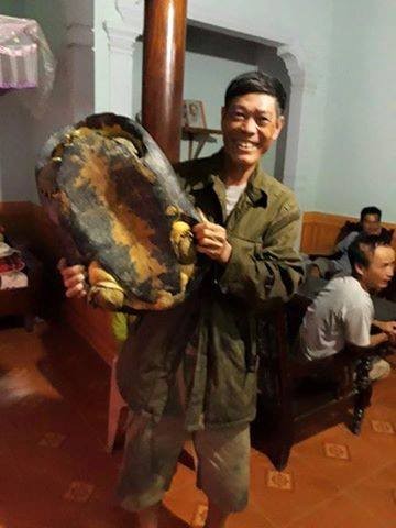 Bắt được rùa 'lạ' 16kg trong vườn khi đi hái rau ảnh 2