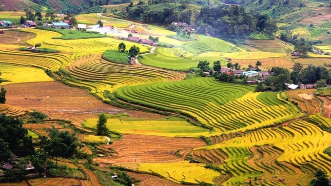 Năm Đinh Dậu ghé các địa danh mang tên gà ở Việt Nam ảnh 1