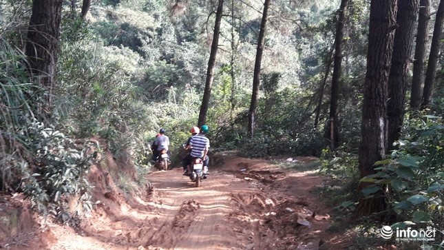 Nghề ‘bán xe ăn dần” dưới chân núi Chùa Hương Tích ảnh 8