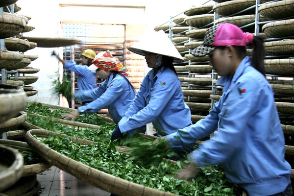 Chấm dứt dự án của nữ doanh nhân bị sát hại ở Trung Quốc ảnh 1