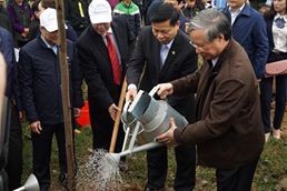 Tết trồng cây tại Bắc Ninh: Trồng thêm 60.000 cây xanh ảnh 1