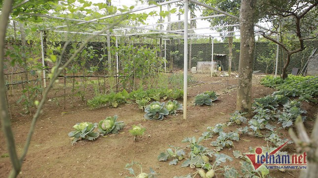 NSND Thanh Hoa rời thành phố, về ở nhà vườn rộng 1000m2 đẹp như mơ ảnh 3