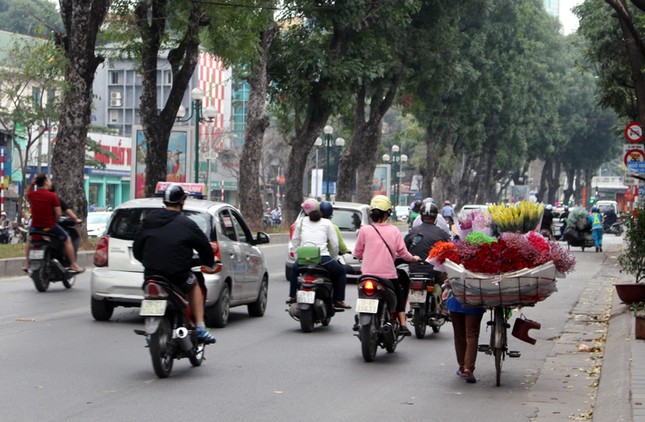 Đại gia đình bán hoa rong mỗi ngày đạp xe 50 km kiếm sống ảnh 5