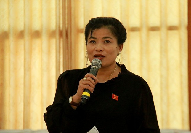 Tại sao không quy định trần học phí, tuổi hiệu trưởng? ảnh 1