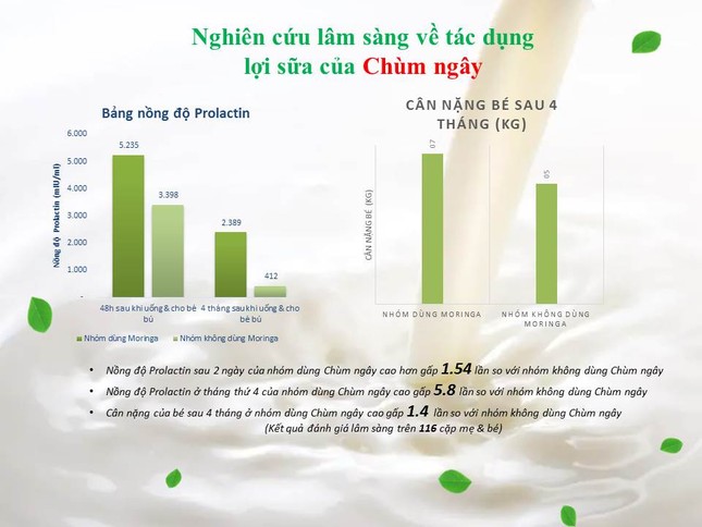Chùm ngây – Giải pháp thông minh cho các mẹ thiếu sữa, mất sữa ảnh 2