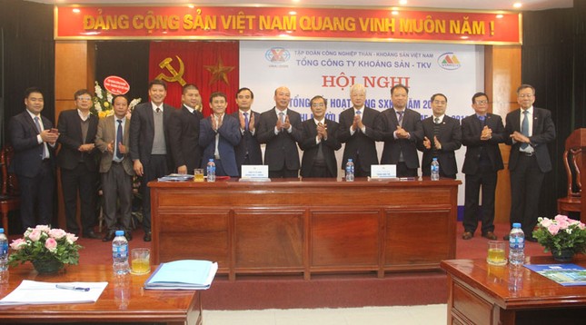 VIMICO phấn đấu doanh thu 2019 đạt 6.951 tỷ đồng ảnh 2