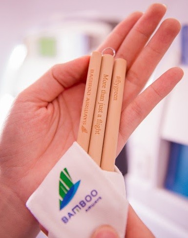 Chuyến bay đặc biệt của Bamboo Airways khởi đầu hành trình 'bay Xanh' ảnh 2