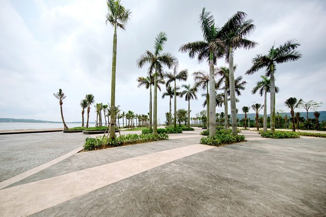 Halong Marina: Từ vùng đất trống ven biển thành đại đô thị du lịch sầm uất ảnh 2