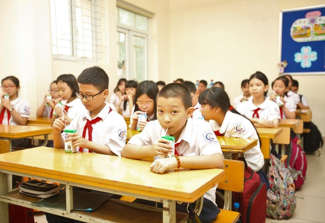 Thiếu vi chất dinh dưỡng và tầm quan trọng của sữa học đường ảnh 5
