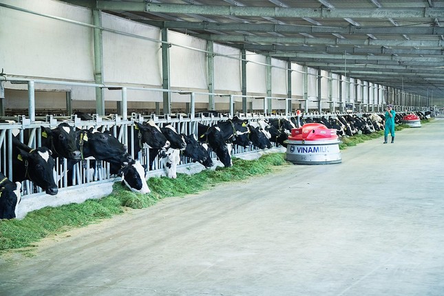 Vinamilk tiếp tục là thương hiệu được chọn mua nhiều nhất ảnh 2