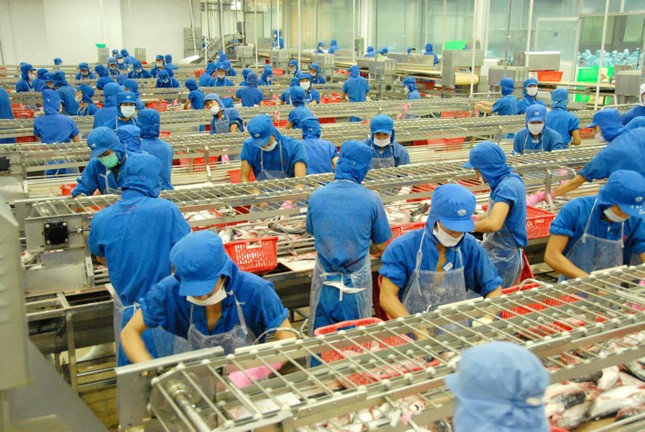 Giá trị cốt lõi của tập đoàn Sao Mai ảnh 1