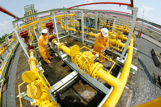 PV GAS 3 năm liên tiếp lọt danh sách 1.000 doanh nghiệp nộp thuế nhiều nhất ảnh 3