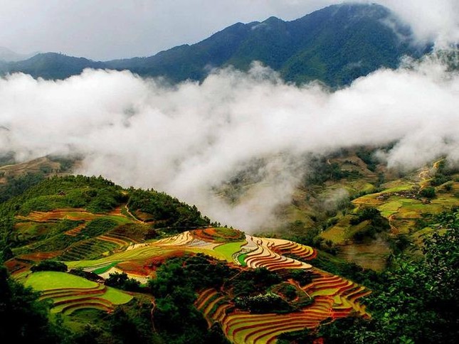 Hà sơn Hải Vân - dịch vụ xe hoàn hảo lên Sapa mùa du lịch ảnh 1