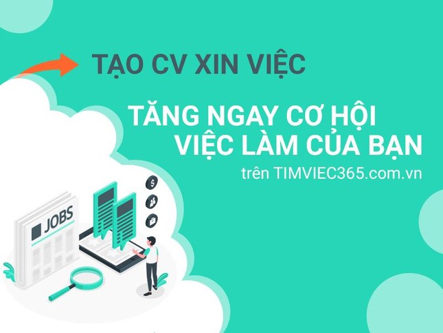 Timviec365.com.vn có thật là địa chỉ việc làm – tuyển dụng uy tín? ảnh 2
