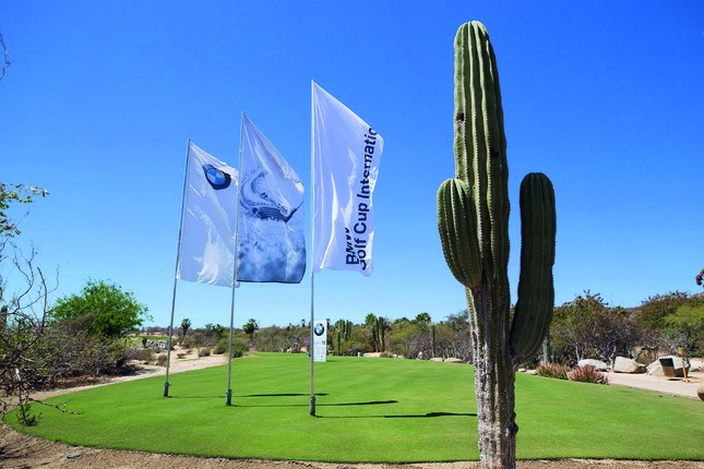 Trở thành người Việt Nam đầu tiên tham gia giải golf BMW toàn cầu ảnh 1
