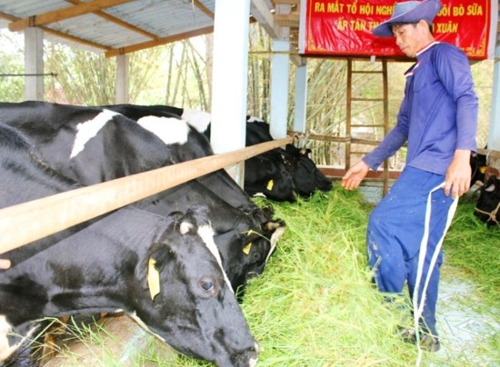 Năm 2019 – Nông nghiệp chủ động đương đầu biến đổi khí hậu ảnh 2