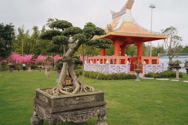 Lạc lối giữa xứ Phù tang tại lễ hội hoa xuân Vinhomes Smart City ảnh 1