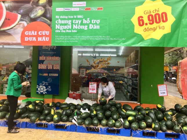 Hapro – Tái cơ cấu để tập trung phát triển các lĩnh vực cốt lõi có hiệu quả ảnh 3
