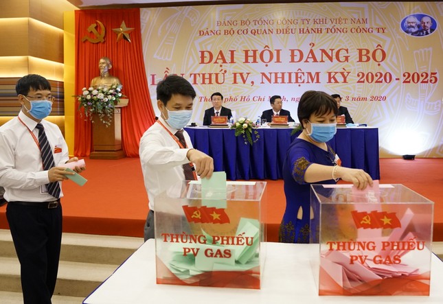 Đảng bộ Cơ quan Điều hành PV GAS: Hoàn thành xuất sắc nhiệm vụ ảnh 1