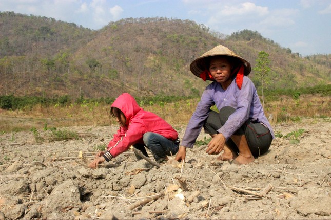 Bất lực trước khô hạn? ảnh 4