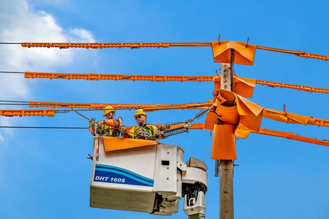 Dấu ấn 45 năm ngành điện miền Nam ảnh 2