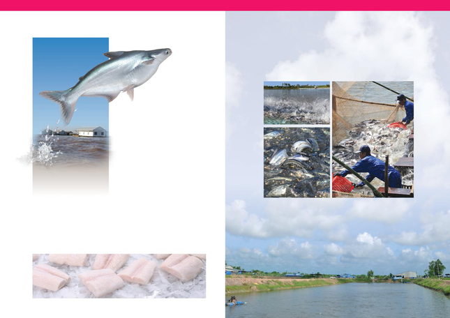Ăn đi rồi biết! ảnh 1