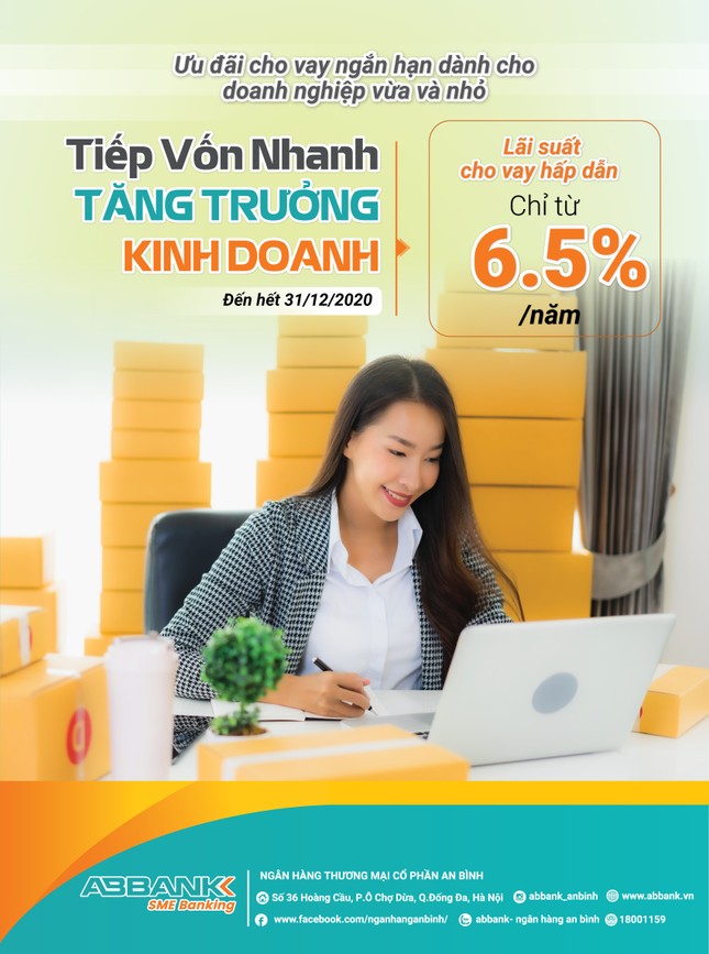Kịp thời tiếp vốn hỗ trợ doanh nghiệp SME tăng trưởng kinh doanh ảnh 1