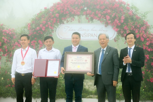 'Thung lũng hoa hồng lớn nhất Việt Nam' ở Sa Pa ảnh 3