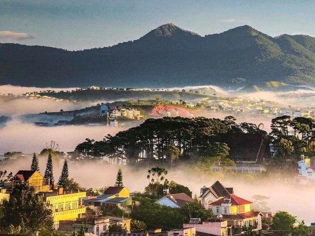 Tận hưởng trọn vẹn mọi vẻ đẹp Đà Lạt chỉ trong một ngày ảnh 1