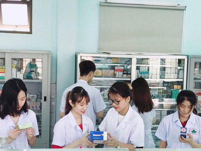 Trường Cao đẳng Y Dược Tuệ Tĩnh Hà Nội: Hành trình vươn tới tầm cao mới ảnh 1