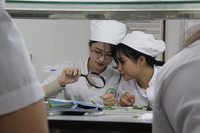 Đại học Kinh doanh và Công nghệ Hà Nội: Nguồn 'cung' nhân lực chất lượng ảnh 1
