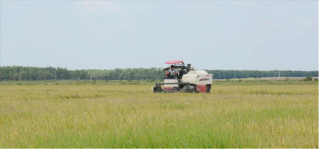 Chiến dịch Chăm sóc máy Yanmar 2020: Đồng loạt, thiết thực, hiệu quả ảnh 2