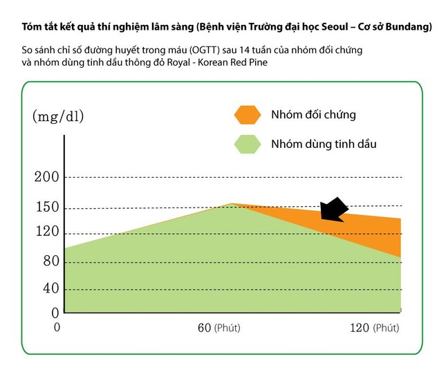 Tinh dầu thông đỏ Hàn Quốc Royal Korean Red Pine: Khắc tinh tiểu đường, mỡ máu ảnh 2
