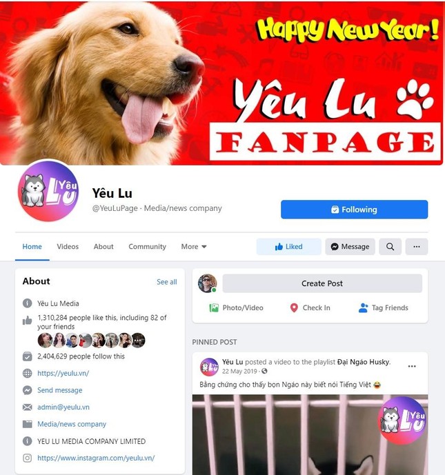 Khám phá Yêu Lu – Fanpage triệu like dành cho những người đam mê thú cưng ảnh 1