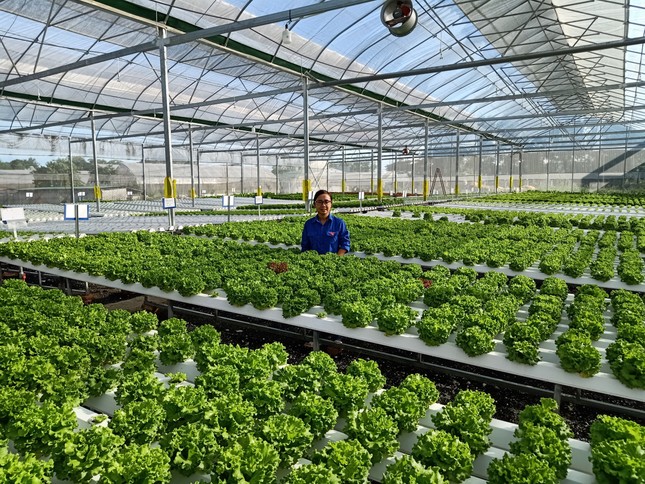 Tỉnh đoàn Thanh Hóa đẩy mạnh khởi nghiệp trong thanh niên ảnh 1