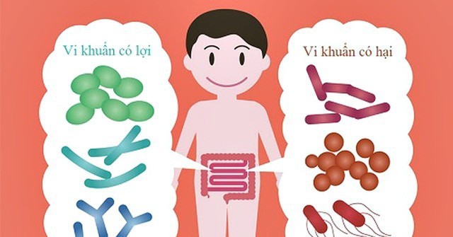 Ăn không tiêu nên dùng men tiêu hóa nào? ảnh 2