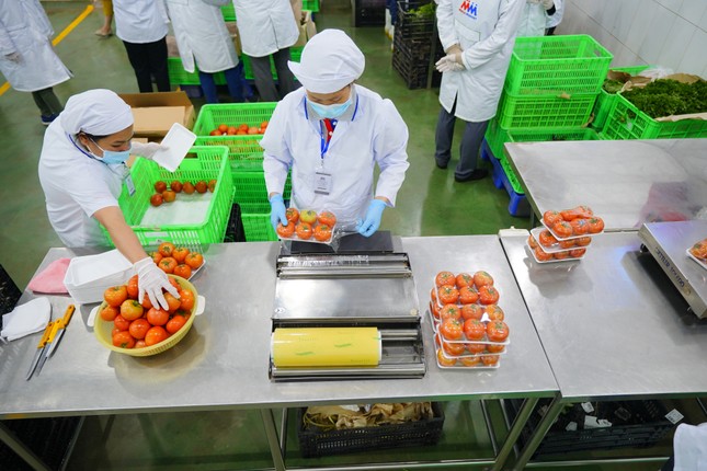 MM Mega Market giữ vị trí thứ 3 trong Top 10 Công ty bản lẻ uy tín ảnh 2