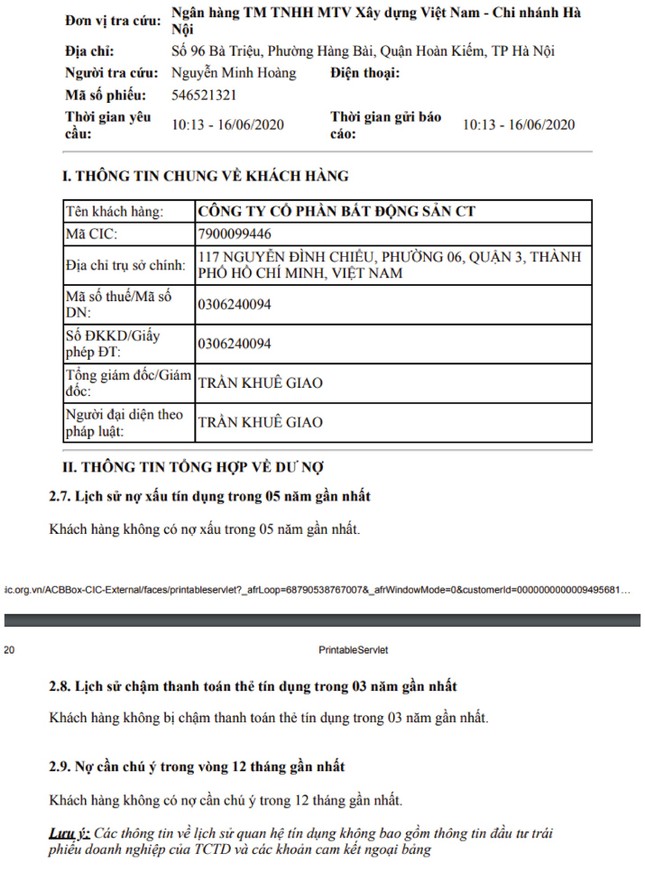 C.T Land lỗ khủng bao nhiêu? ảnh 1