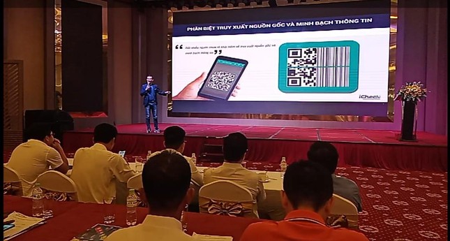 Cà Mau tiếp sức doanh nghiệp vừa và nhỏ lên sàn thương mại điện tử ảnh 1
