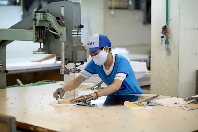 EVFTA đang được khai thác hiệu quả ảnh 2