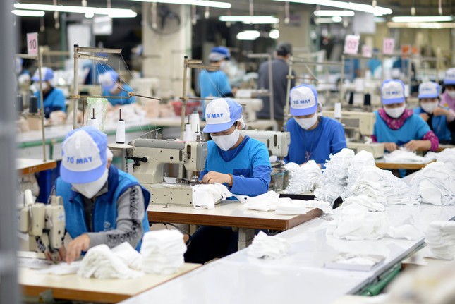 EVFTA tạo đầu ra ổn định cho doanh nghiệp giữa khó khăn do dịch COVID-19 ảnh 3