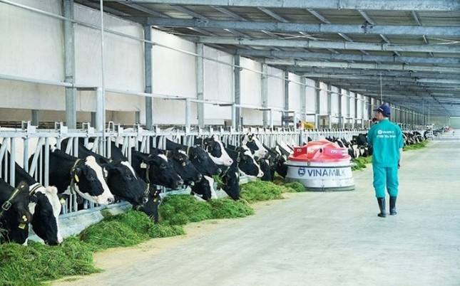 Vinamilk ‘bội thu’ giải thưởng về quản trị công ty ảnh 5